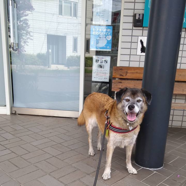 9d88bb65 a9e4 445f 8e69 25aae19dfa78 1567035532714