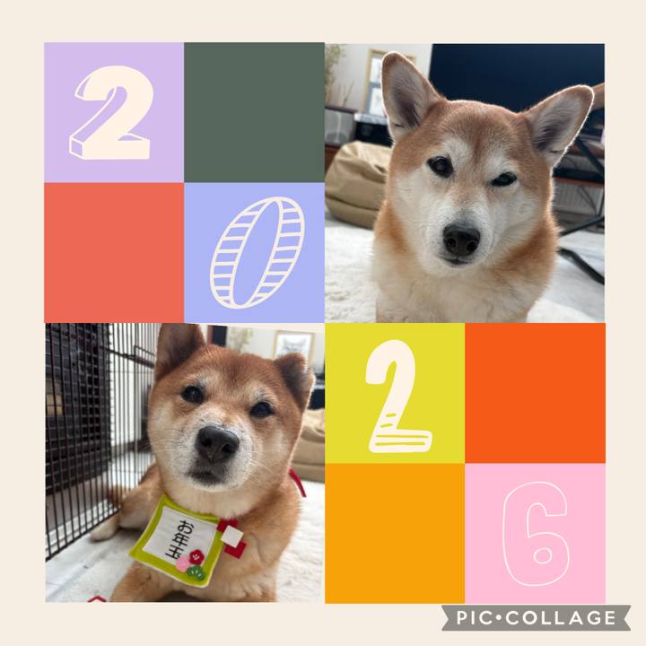 9d88ec3b 790f 4062 833a 67f7850dbe17 1767232462301