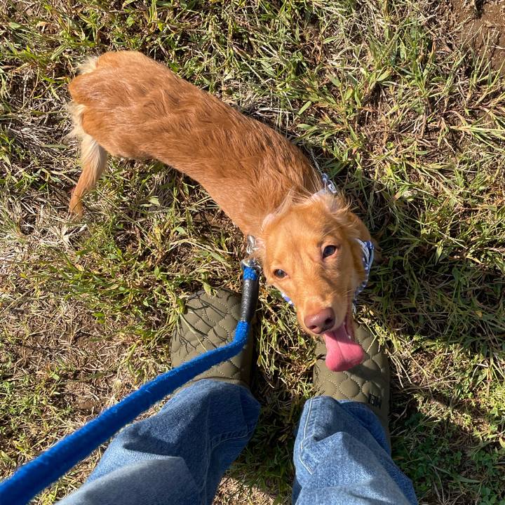 9d893a8a 8e5a 43a4 bb04 07ed474abfc1 1728799229223