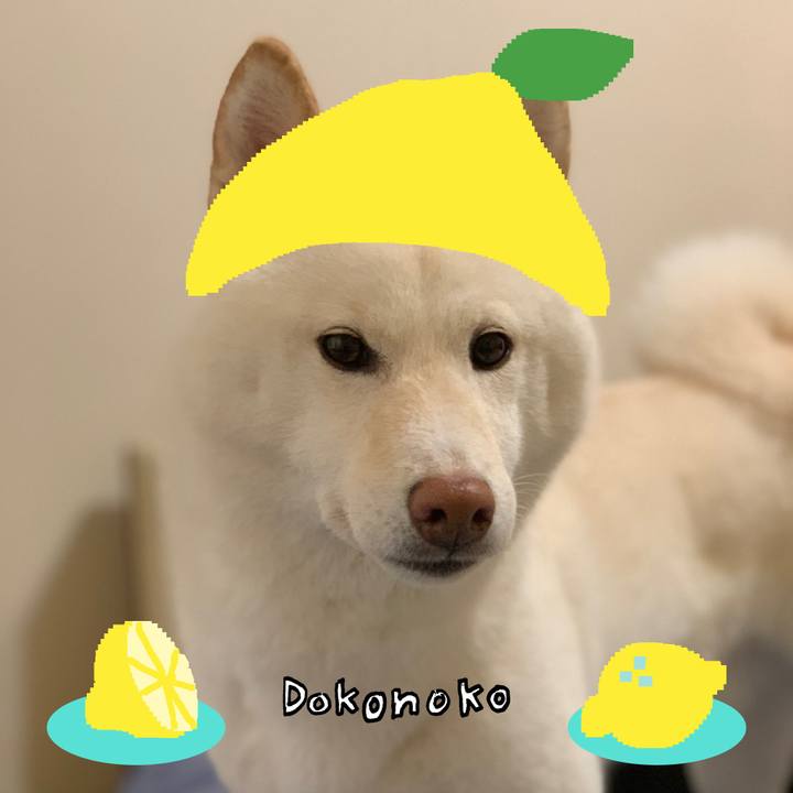 9d896fee 7e1e 4144 b422 136c93ddd68a 1741124397679