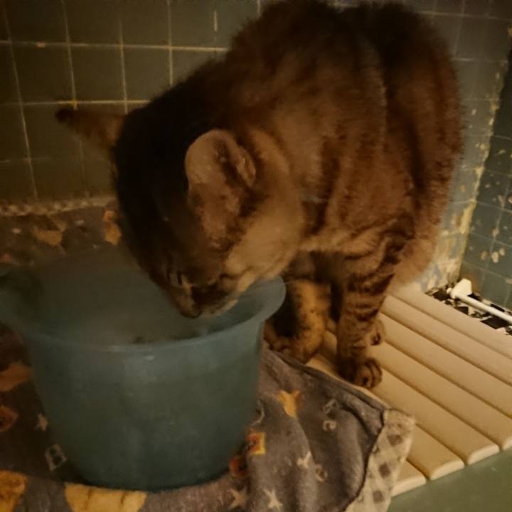 9d89831a d0d6 4bb6 af1a f583722abefc 1570270994517