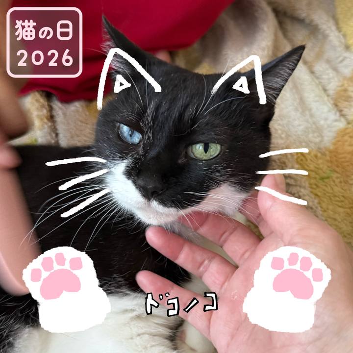 9d89870e 8501 425a bf85 69feebfb218f 1771691839677