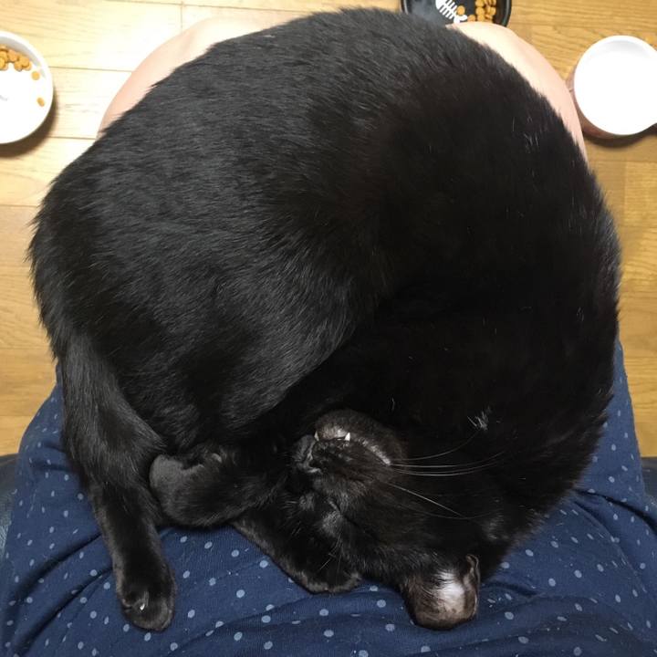 9d89caf6 3fbc 47f5 8b76 d2aaece9960a 1543935306798