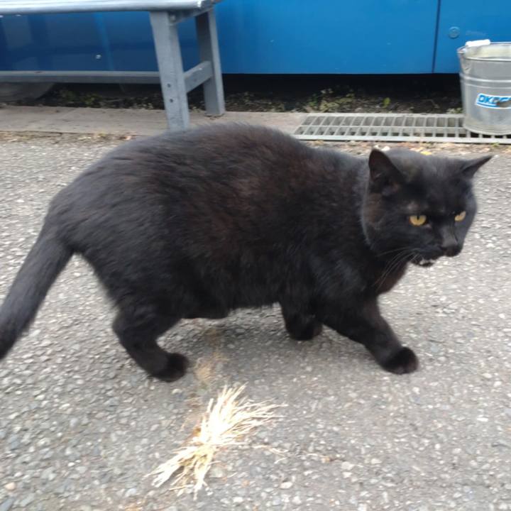 9d89cce8 8d3d 48b8 a9ac 7b178ea8fb1c 1763425431294