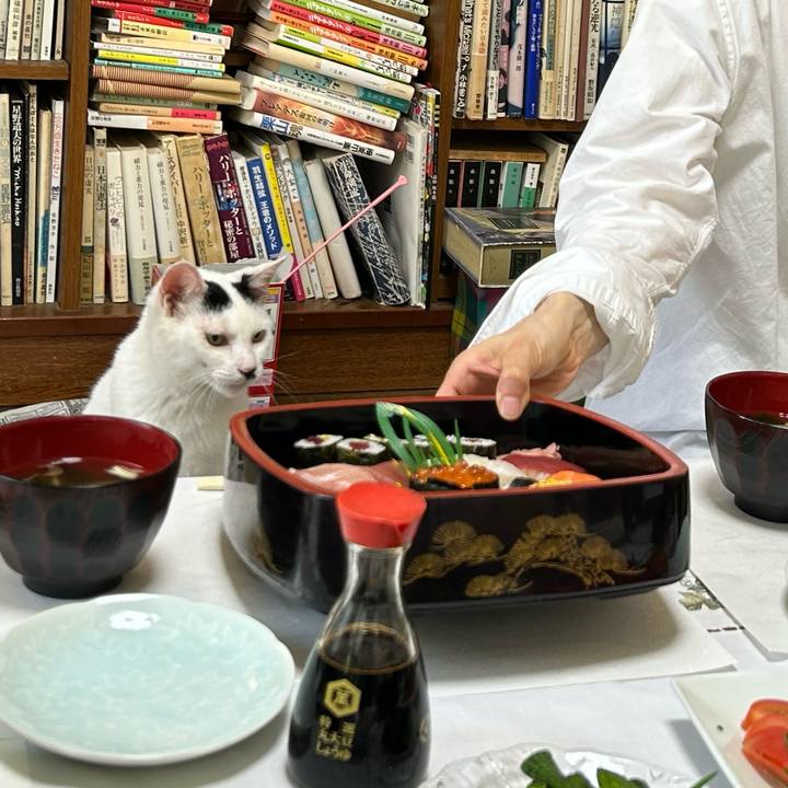 9d89cf6b 3c2e 46de 9e96 892dd1950e61 1723681835697