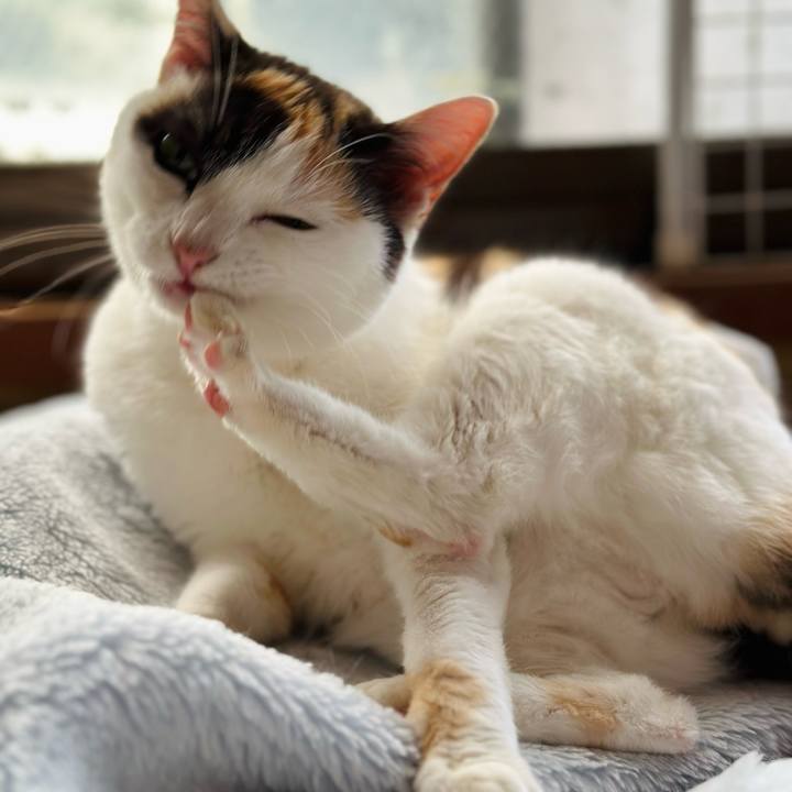 9d89d4ba e453 422d 883d 2507342dd3c6 1715478398542