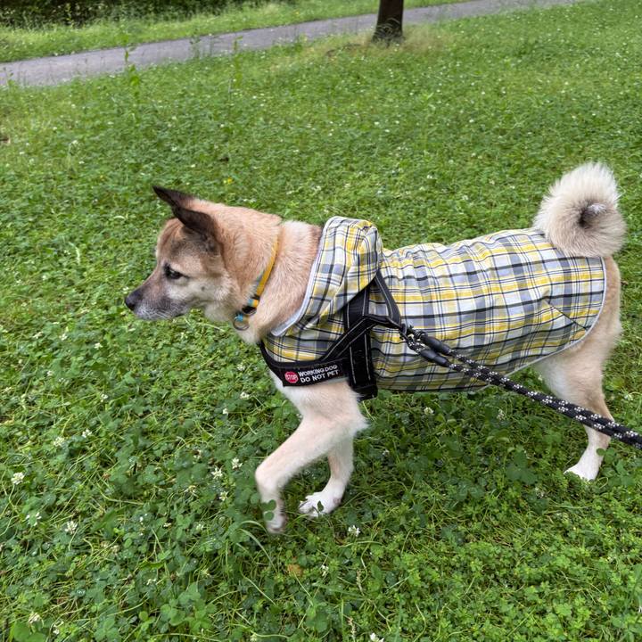 9d8a000d 4c82 40ef 8c48 91592f821734 1748088684121