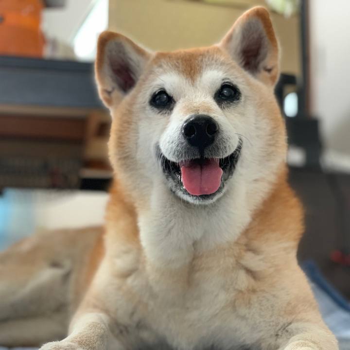 9d8a1672 af0f 47d7 93dc ec7f961197c4 1570758804750