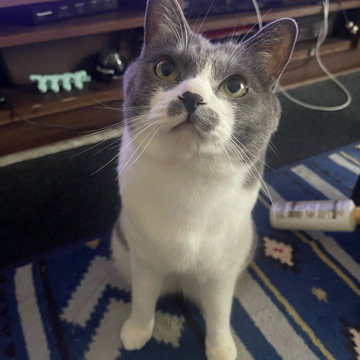 9d8a1c3f 1075 4098 882f 18e267fe714c 1686447073212