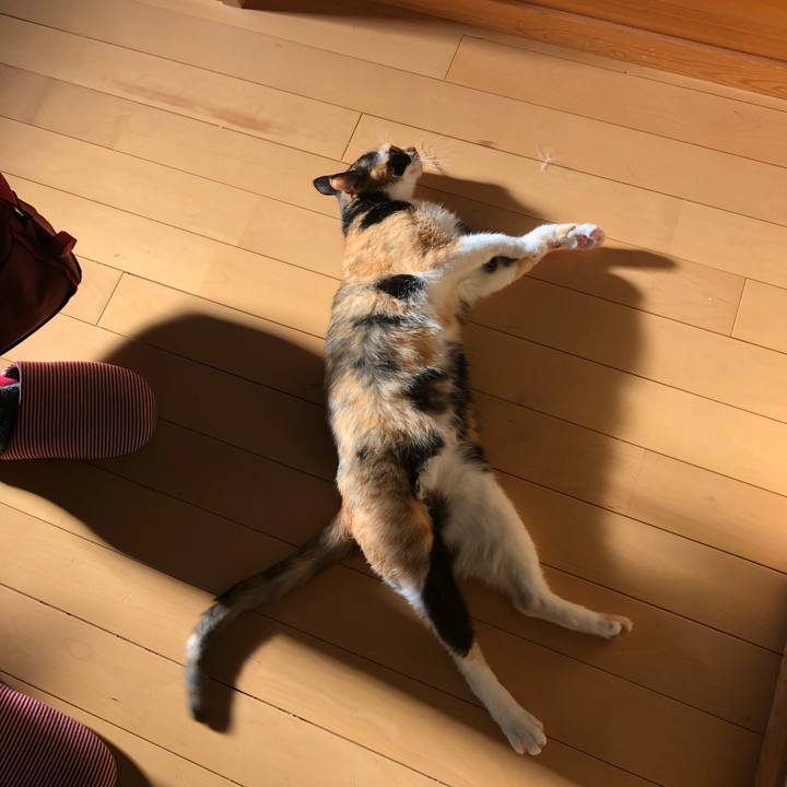 9d8ab022 a8bb 4317 b447 1d782657e13d 1570259111915