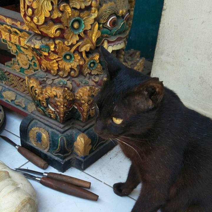 9d8abea1 1007 45df ae68 af140c8b21fd 1509427602118