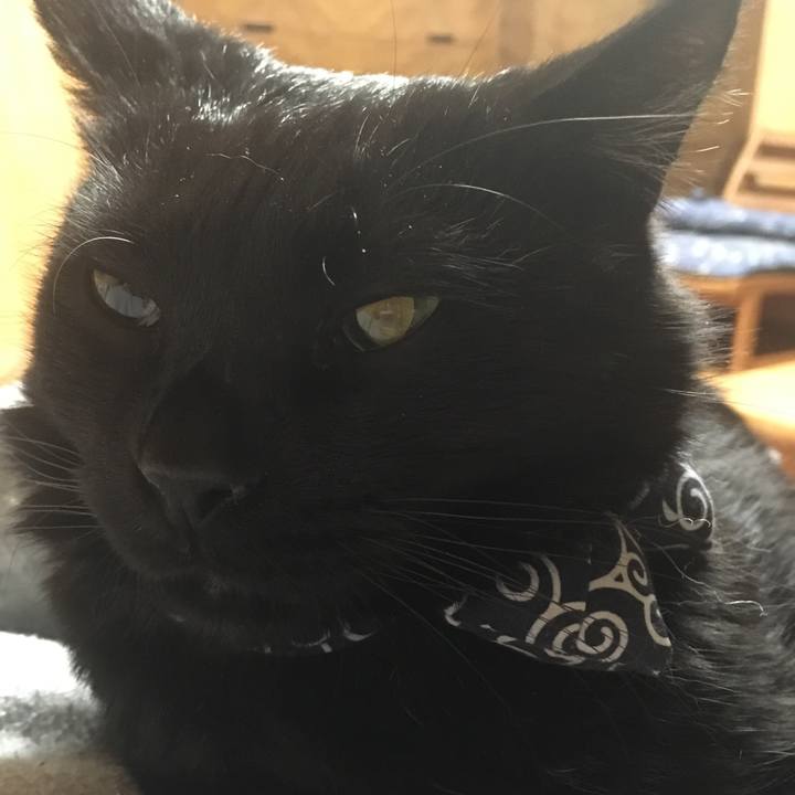 9d8ac5f6 1b5d 40df a3a2 0a39122138d5 1550249125043