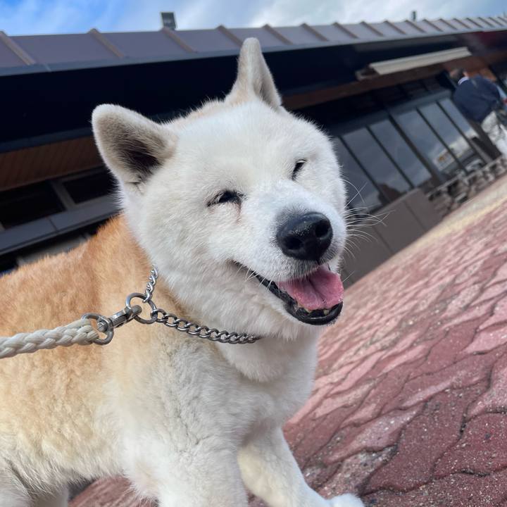 9d8b95d7 d985 4cb1 b4b2 d221f41040f7 1746173200461