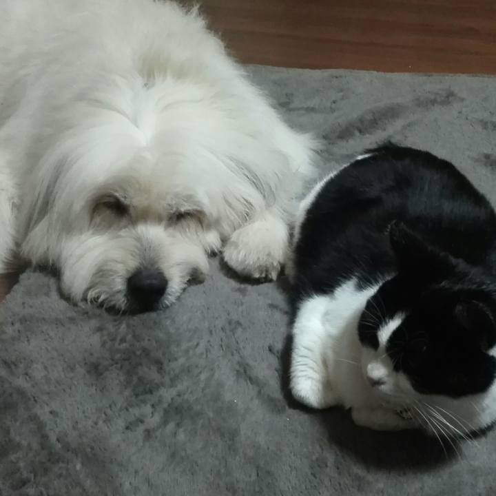 9d8b9be6 f8f7 4139 a703 8936683dbeb1 1524052767422