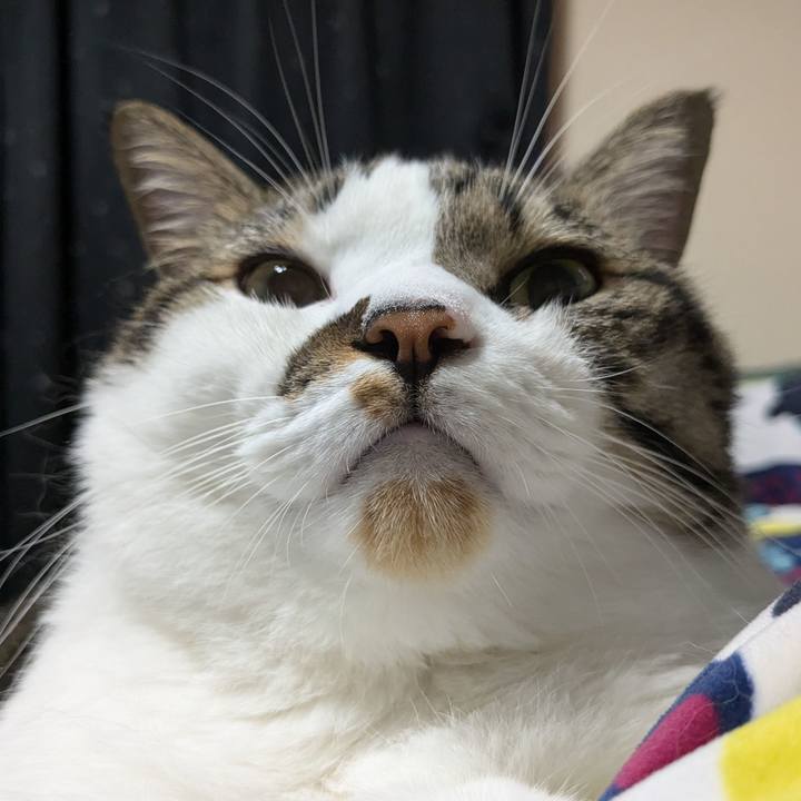 9d8bb293 8615 4d72 9d0d 459e205c5b8a 1728380996862