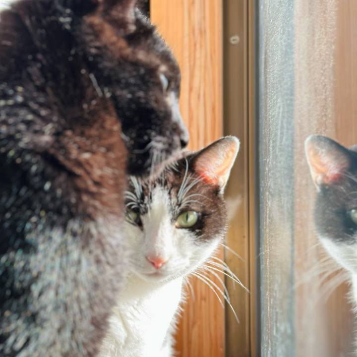 9d8be7b8 88e1 479b 82cf 56e403a643bf 1673404119497