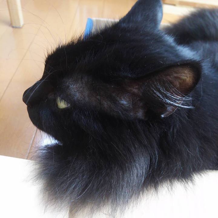 9d8c06a0 4460 4d3a a33c 1e54b82c27a1 1550564666184