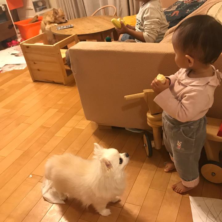 9d8c06e4 3b23 4c07 bfdf 4d8c635366ce 1543932550041