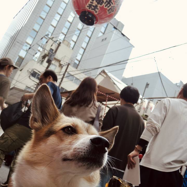 9d8c0dfd 7543 46db 9ee9 d63a76ca7b94 1760847661290