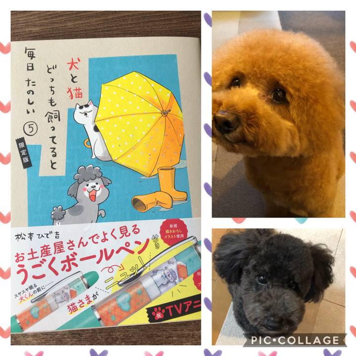 9d8c622c 8434 4c05 8503 764d92a7e31b 1599867758798