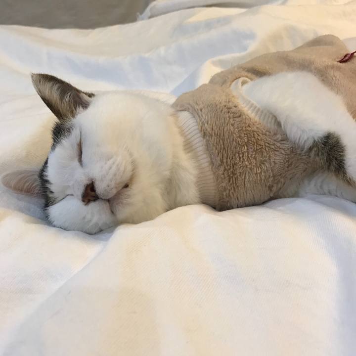 9d8c673f 6b44 4f19 895c 58d397bbe084 1520349376201