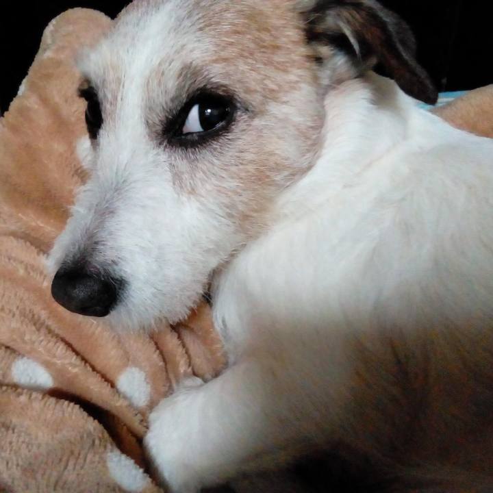 9d8c85e6 8a52 4203 8a11 33ccccad2feb 1586091949421