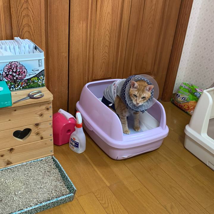 9d8cce76 7124 4089 b787 c46c6a1f8d3d 1629697446873