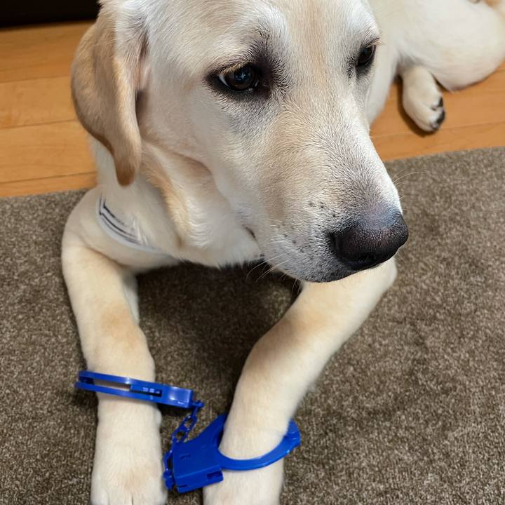 9d8cd8f2 002e 4844 956e 0ca9a3350226 1621491745498