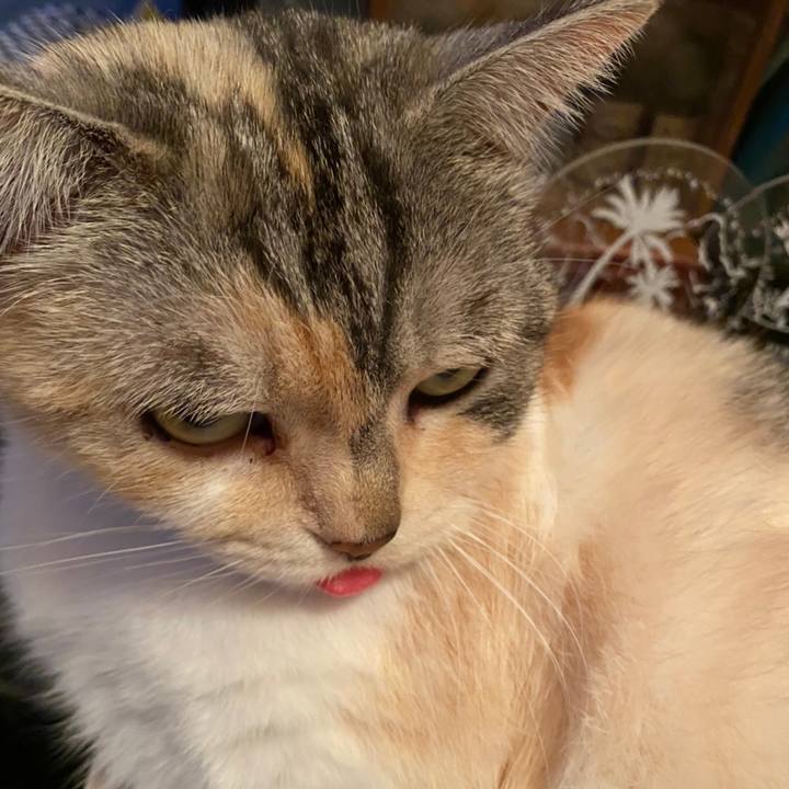 9d8ce8ba 45da 450e a681 142c5fd75c71 1617532745094