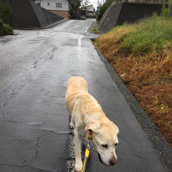 9d8cef8c fbcd 4240 a9da d343fa0b7d95 1537854176986