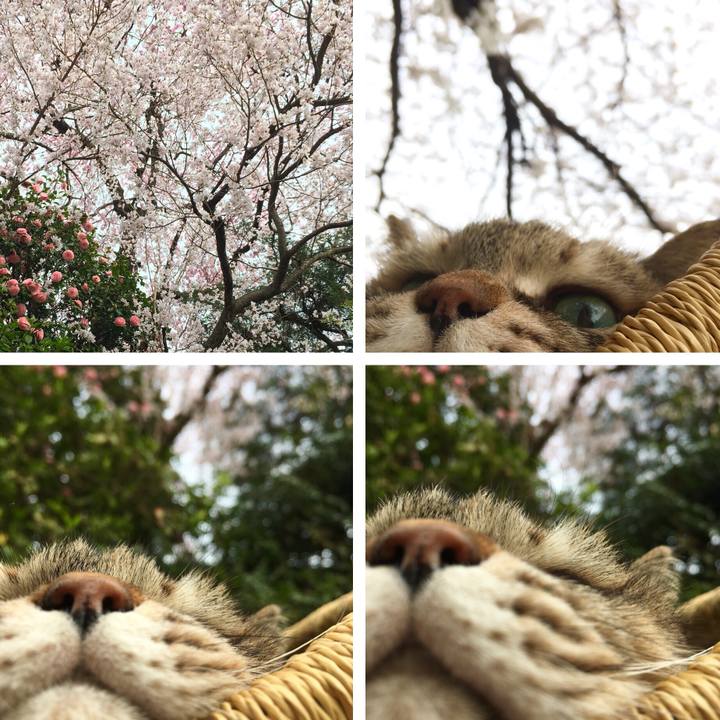 9d8cfdcc 1de6 4cf6 8441 e2ceb1904df6 1522291648940