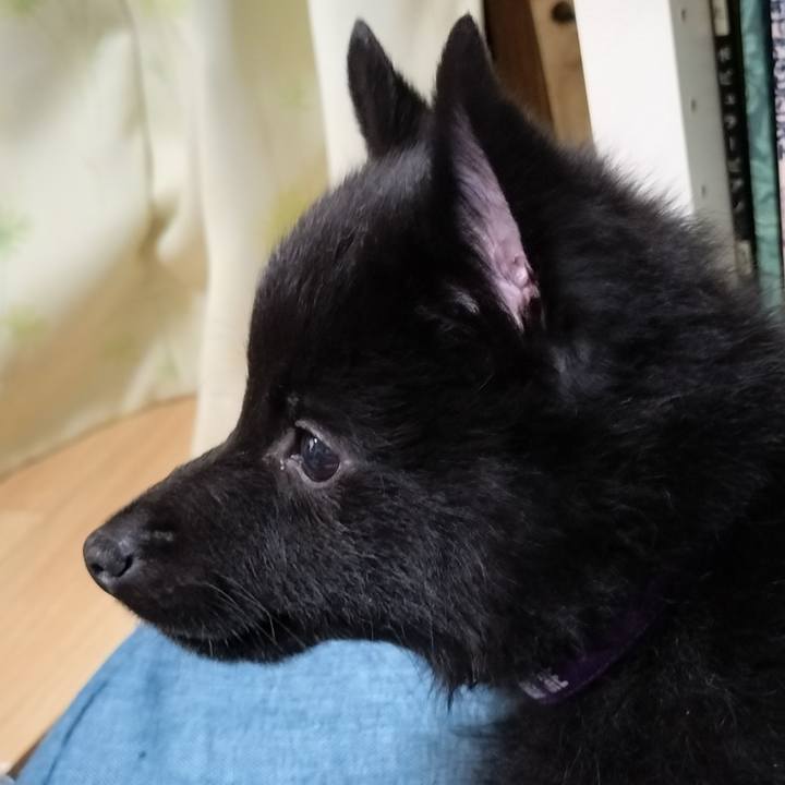 9d8d305a 590f 4aa7 b32a f43c4a0c491a 1747174425075