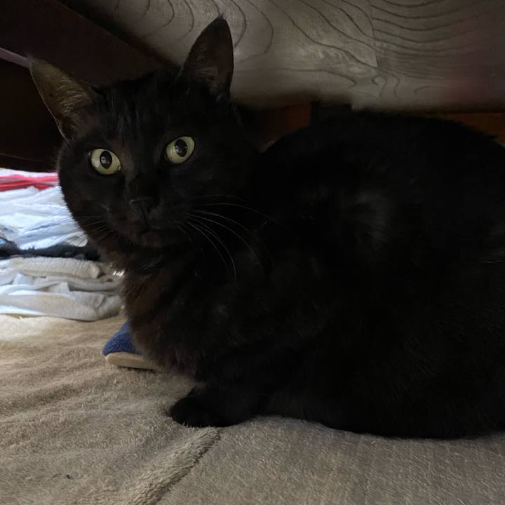 9d8d32b4 2371 4af9 9f3a 44a69be22136 1577521236463