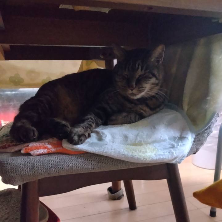 9d8d4d6c 44a4 4342 add1 059d56da4c18 1767400831022