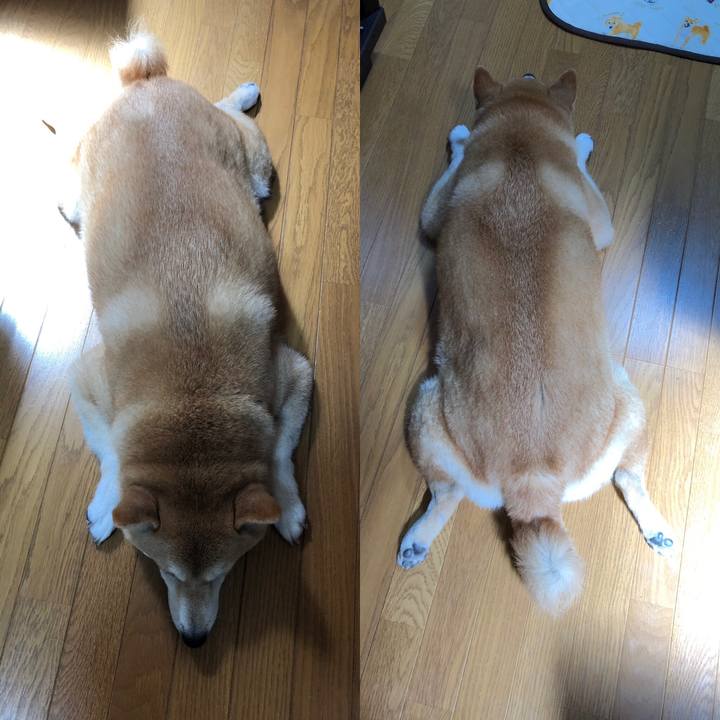 9d8d85a2 43a5 43ac 983f dc8b91ff94c6 1564036357452