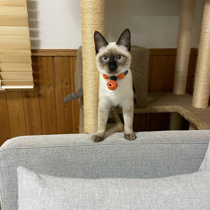 9d8d9703 bbcb 4131 ae76 f26b2dee44e3 1697054285134