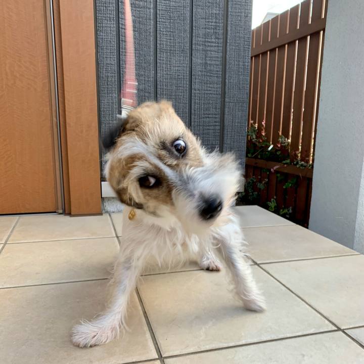 9d8dddaa 9c24 485c 817e 00c831e54aa6 1627694051888