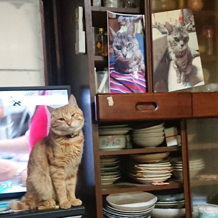 9d8e0738 d0e7 4b0b ad44 89637db8f776 1646131084315