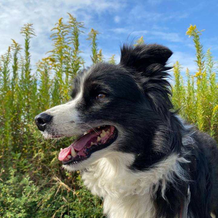 9d8e3e00 0802 472c 965a df0c0d00ef0b 1633655086795