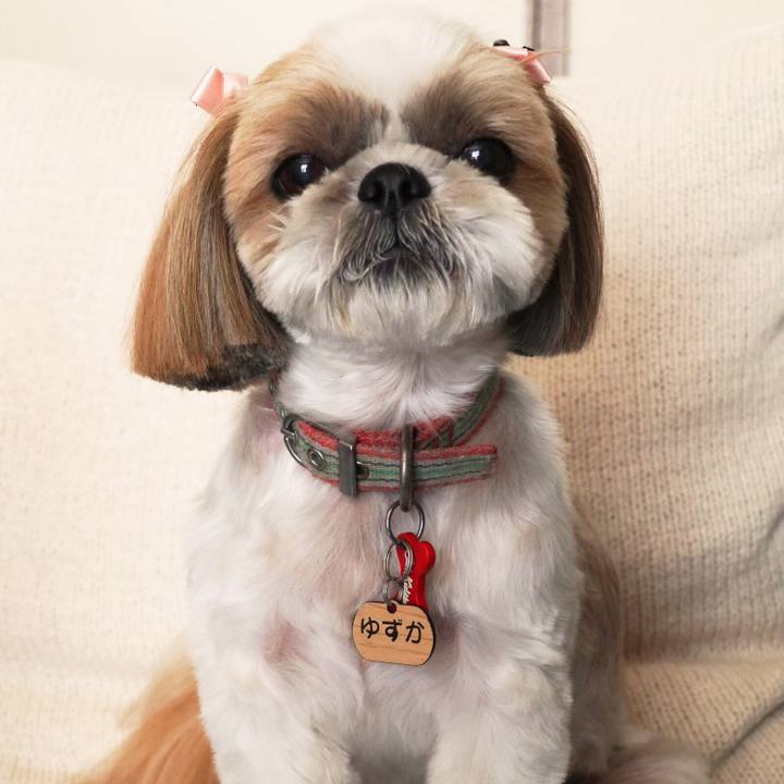 9d8e838a e7f0 4454 95bc 5761805f6b58 1508557102468