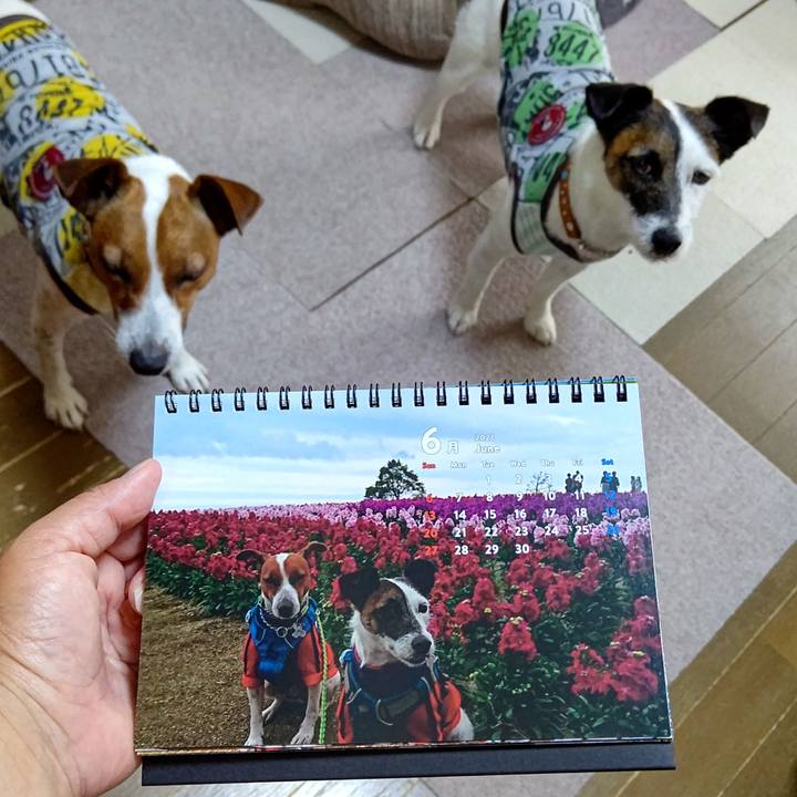 9d8e9cf0 0479 462a a62e 071b597db5d7 1622508481285