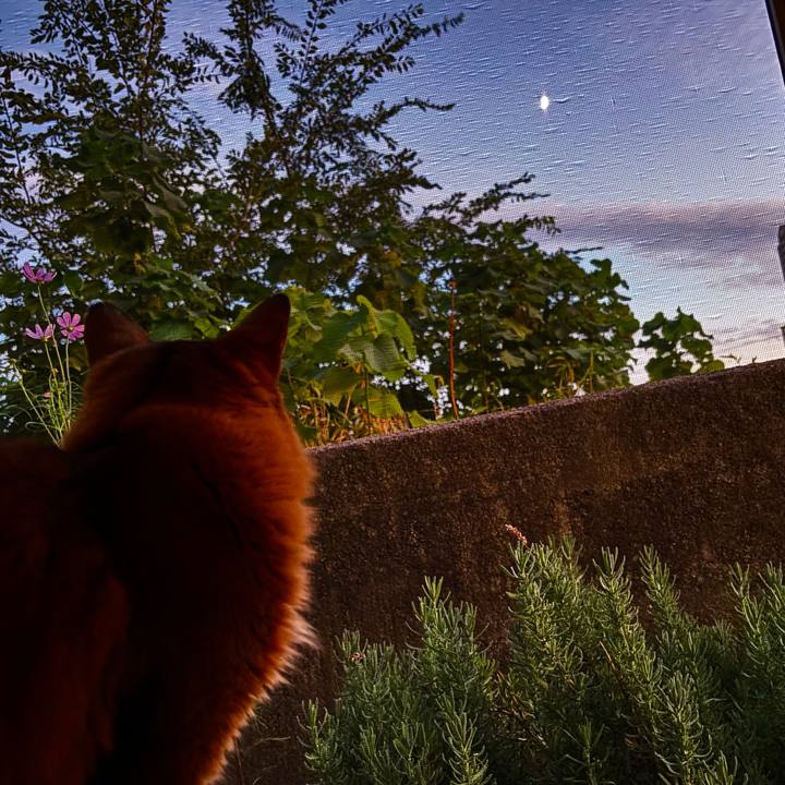 9d8ea2b7 7ae7 47a6 a3ab bdeb860c8bab 1759141417393