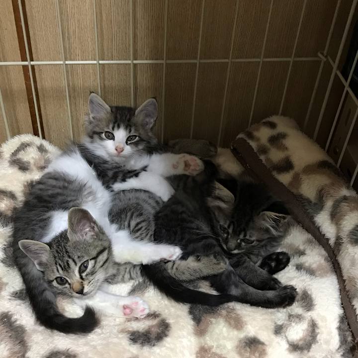 9d8f11a0 895b 49e4 9a91 06d7af023dd8 1572435811415