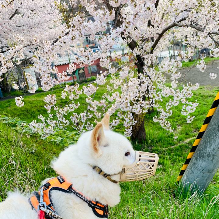 9d8f1bbe 8779 4c3f 95a5 620951aafa2a 1620250405373