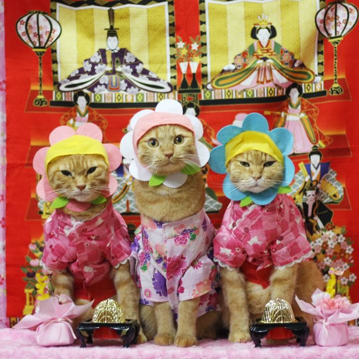 9d8f6ac4 51bb 418d 979c 84d5df687168 1677746733556