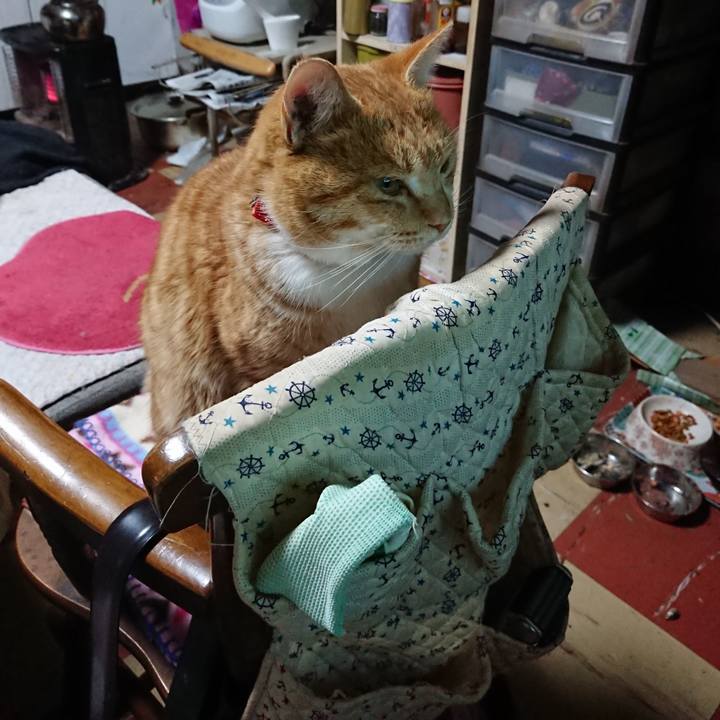 9d8f6d62 06f9 434e b3da 95683e2d5439 1578434228198