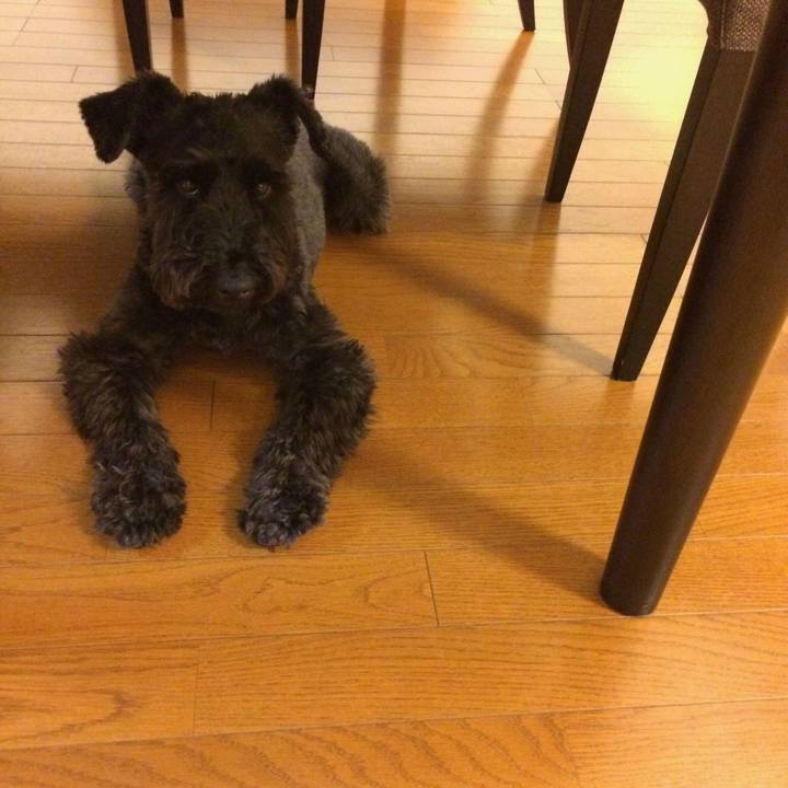 9d8f83b3 421c 486e 9a2d 29b368a971b8 1528802379969