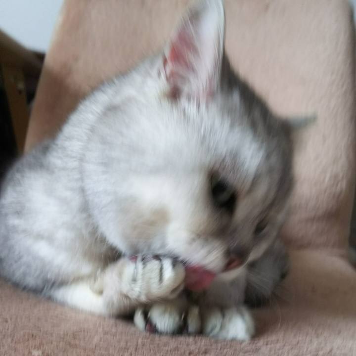 9d8fa6a0 6f63 4dc7 bf2a 441817bcb252 1517375228105