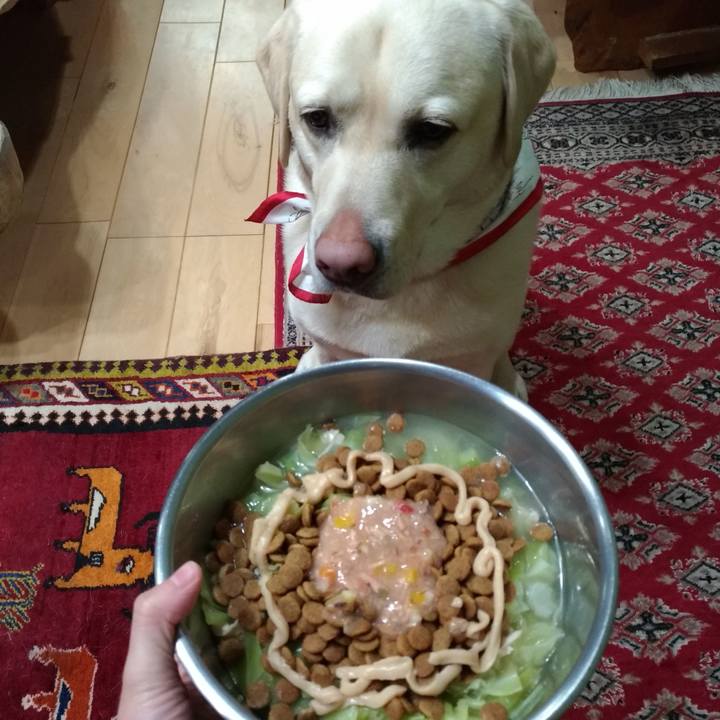 9d8fa87b 1df1 4dc2 8330 42b742b69859 1613037588139