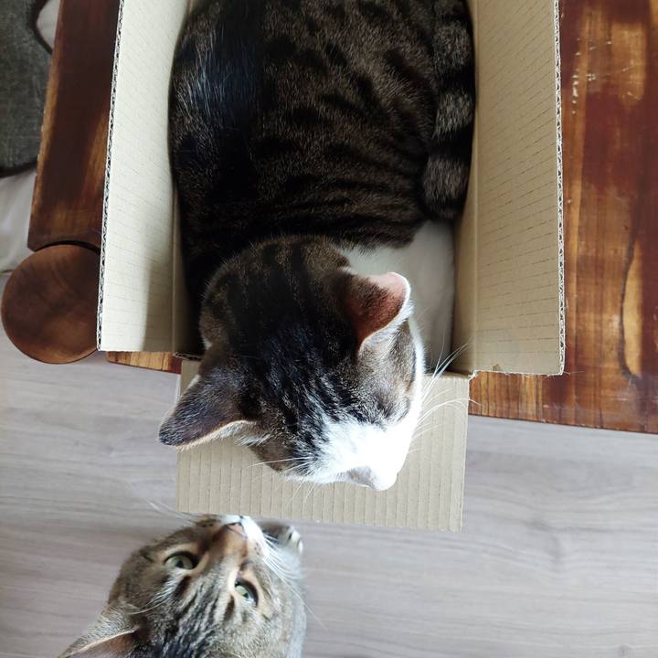 9d901554 86af 4c66 8171 d41d9bd42e78 1654216726970